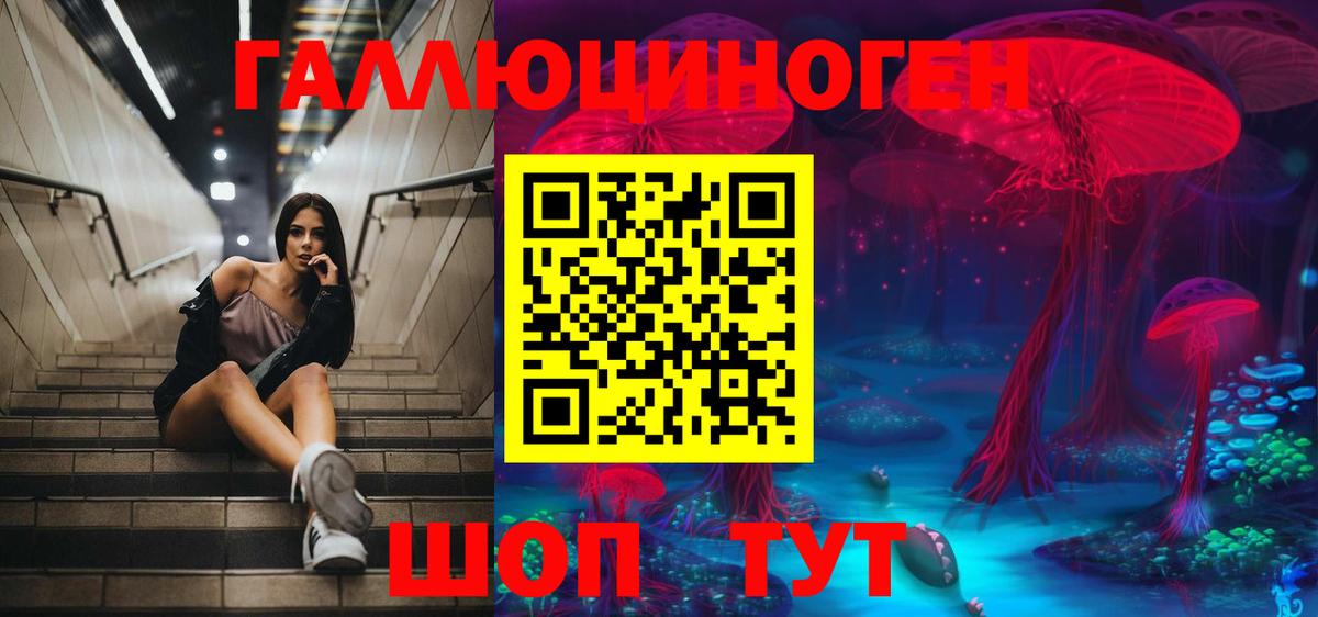 Галлюциногенные грибы мицелий Заводоуковск